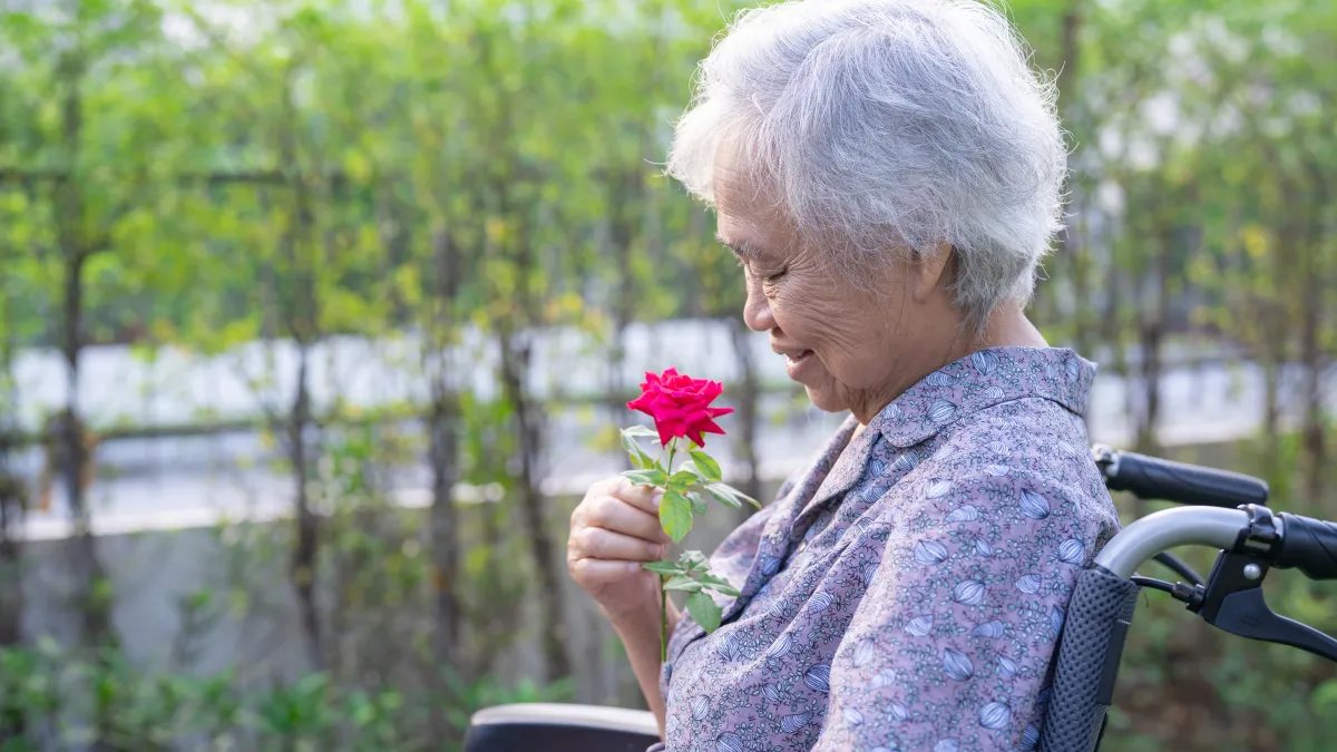 Dementia Lansia: Cara Merawat, Tipe, dan Profesi Kaigo yang Keren